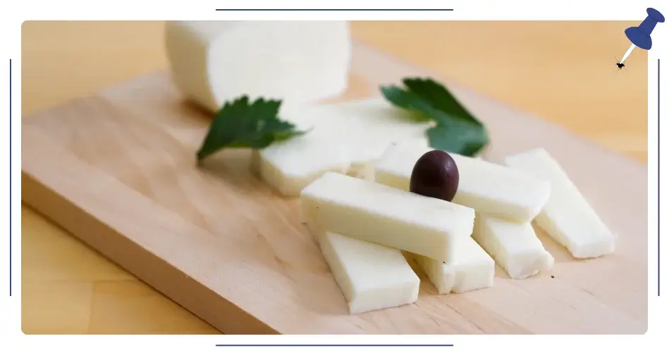 Ser Halloumi
