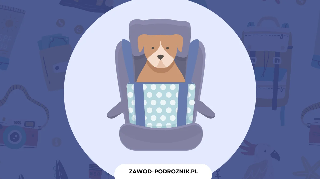 Jak przygotować psa do podróży samochodem - zdjęcie główne