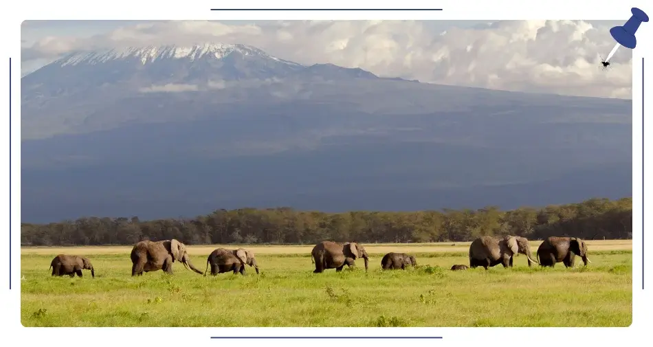 Amboseli, Kenia