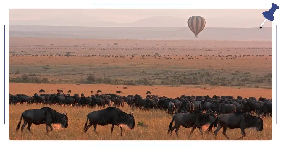 Masai Mara, Kenia