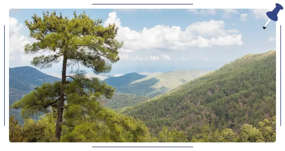 Góry Troodos, Cypr
