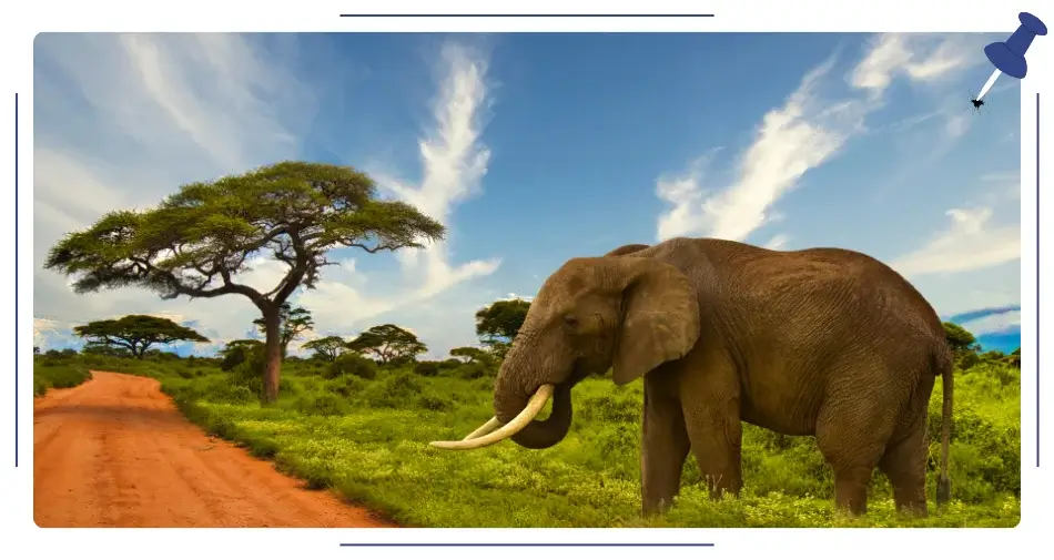 Tsavo, Kenia