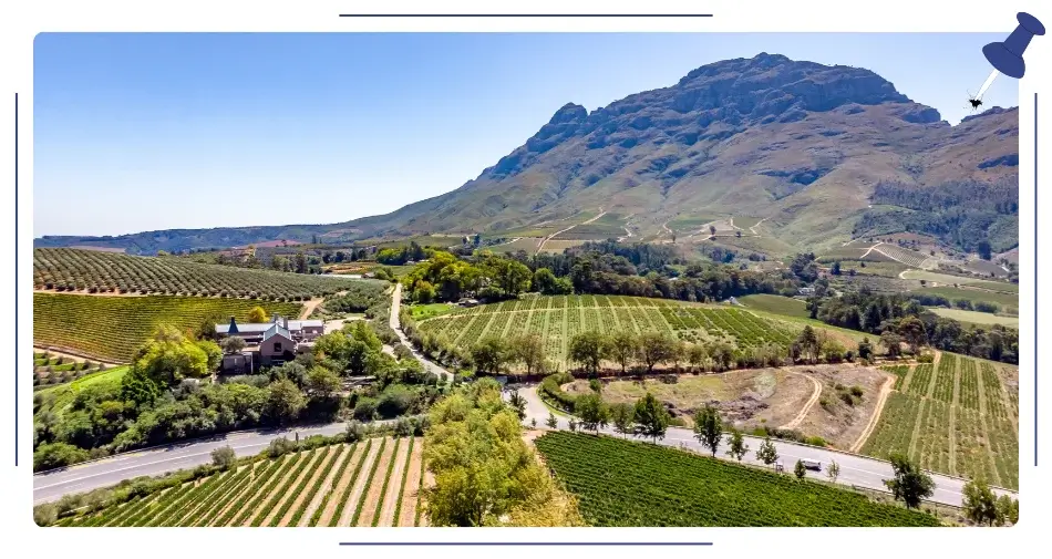 winnice z regionu Stellenbosch, RPA
