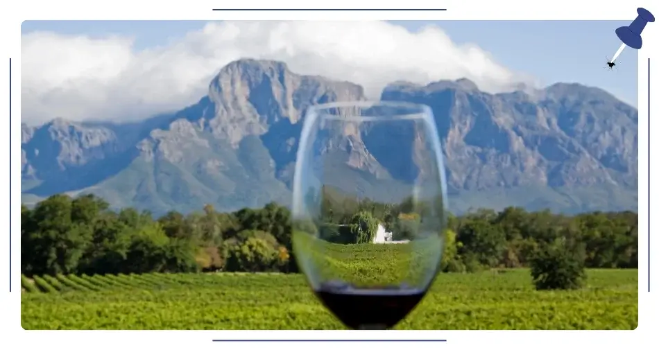 Południowoafrykańskie wino