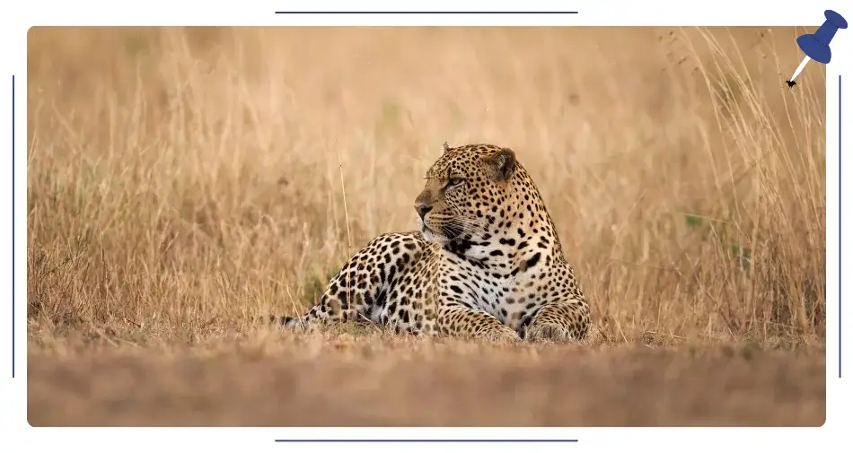 Laikipia w Kenii