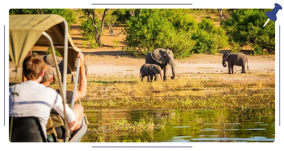 Safari w Kenii