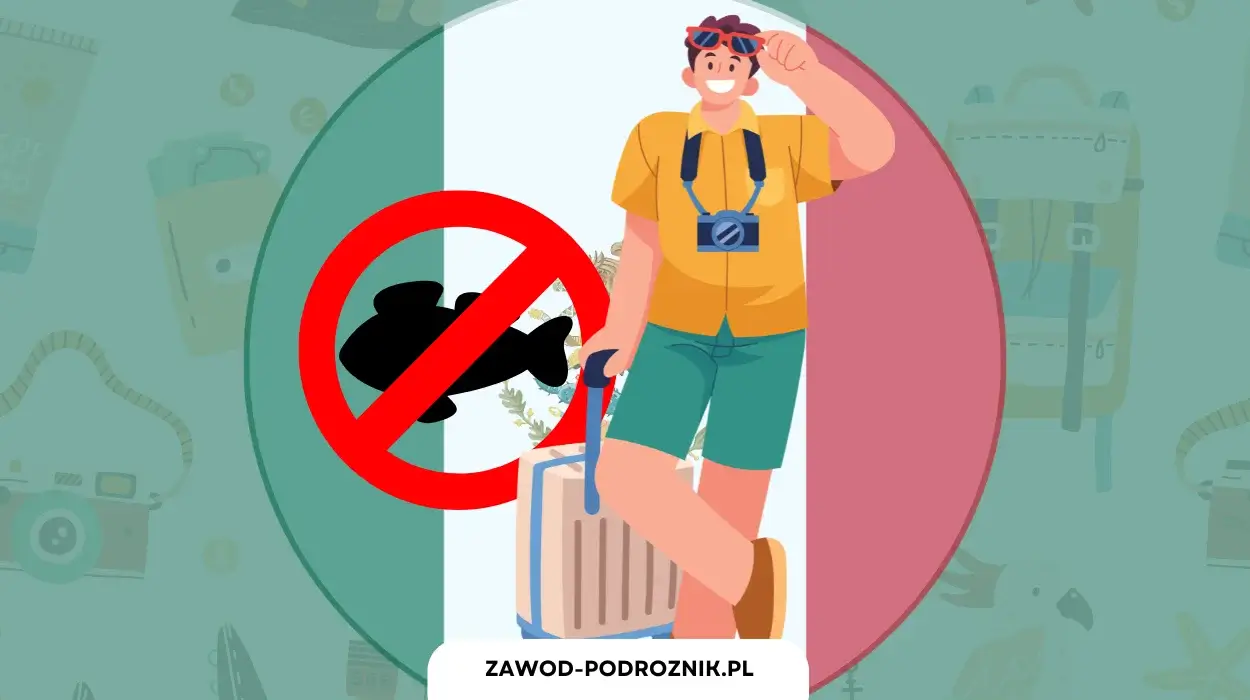 Czego nie wolno w Meksyku - zdjęcie główne